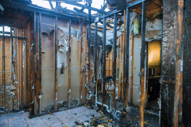 Professional Smoke Damage Removal technician working in Abingdon, VA